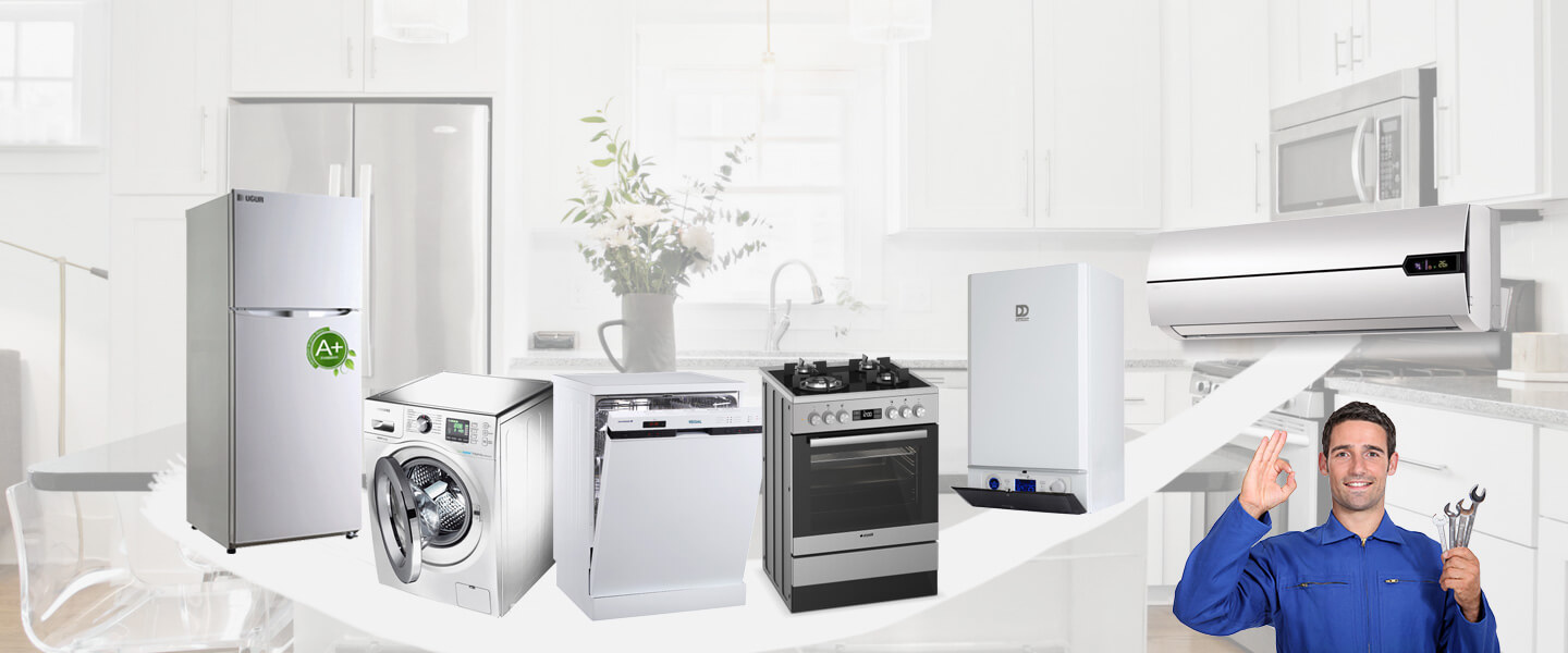 Gündoğmuş Electrolux Servisi